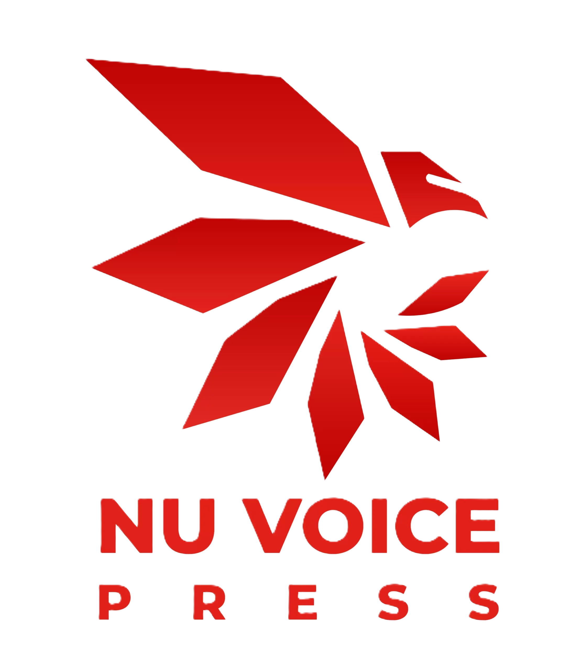 NuVoice Logo